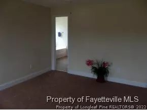 6309 Woolgrass Ct, Stedman, NC 28391 photo 13