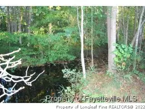 1240 Us Hwy 421 N, Lillington, NC 27546 photo 22