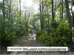 1240 Us Hwy 421 N, Lillington, NC 27546 photo 21