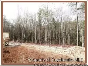 116 Honor Ln, Bunnlevel, NC 28323 photo 24