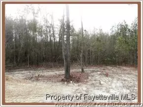 125 Honor Ln, Bunnlevel, NC 28323 photo 20