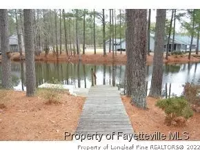 165 Cranes Cv, Vass, NC 28394 photo 12
