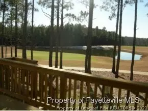 82 Pine Hawk Drive, Spring Lake, NC 28390 photo 9