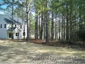 20 Highgreen Pt, Cameron, NC 28326 photo 25