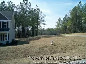 20 Highgreen Pt, Cameron, NC 28326 photo 2