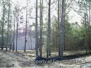 20 Highgreen Pt, Cameron, NC 28326 photo 8