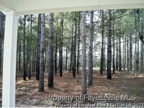 20 Highgreen Pt, Cameron, NC 28326 photo 10
