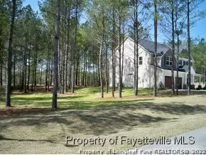 20 Highgreen Pt, Cameron, NC 28326 photo 3