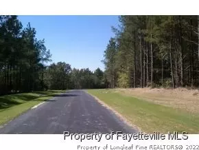 20 Highgreen Pt, Cameron, NC 28326 photo 7
