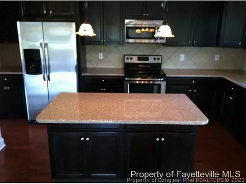 125 Eclipse Ct, Raeford, NC 28376 photo 5