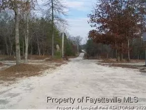 187 Ravens Nest Ln, Cameron, NC 28326 photo 24