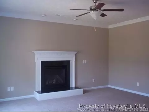 446 Spring Flowers Dr, Cameron, NC 28326 photo 9