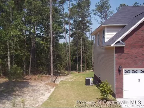 446 Spring Flowers Dr, Cameron, NC 28326 photo 4