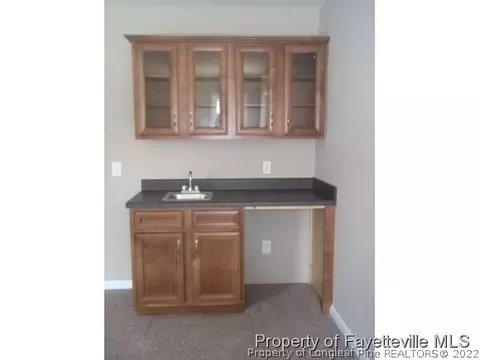 446 Spring Flowers Dr, Cameron, NC 28326 photo 10