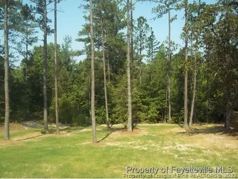 446 Spring Flowers Dr, Cameron, NC 28326 photo 12