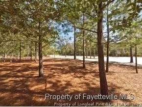 81 Pinewild Dr, Pinehurst, NC 28374 photo 19