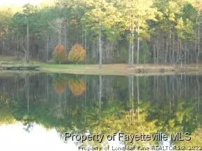 176 Pine Hawk Dr, Spring Lake, NC 28390 photo 4
