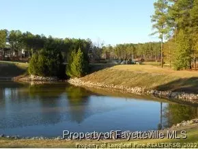176 Pine Hawk Dr, Spring Lake, NC 28390 photo 6