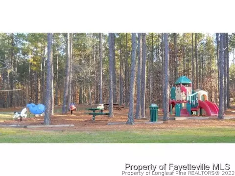 170 Pine Hawk Dr, Spring Lake, NC 28390 photo 22