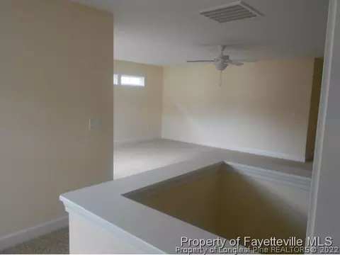 170 Pine Hawk Dr, Spring Lake, NC 28390 photo 15