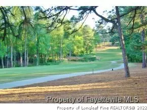 2 Belair Ct, Pinehurst, NC 28374 photo 23