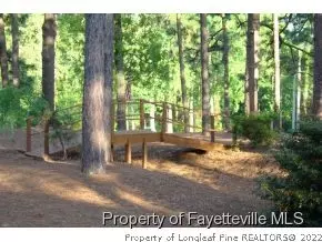 2 Belair Ct, Pinehurst, NC 28374 photo 20