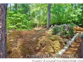 2 Belair Ct, Pinehurst, NC 28374 photo 21