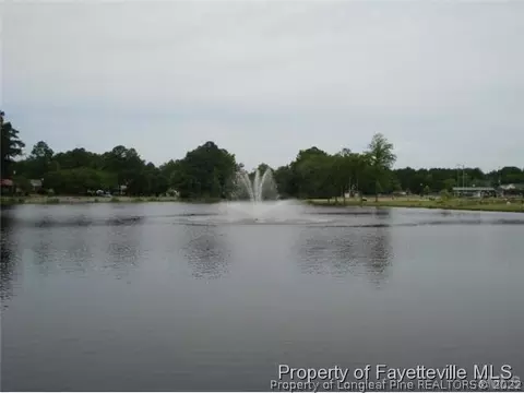 420 E Depot St, Angier, NC 27501 photo 23