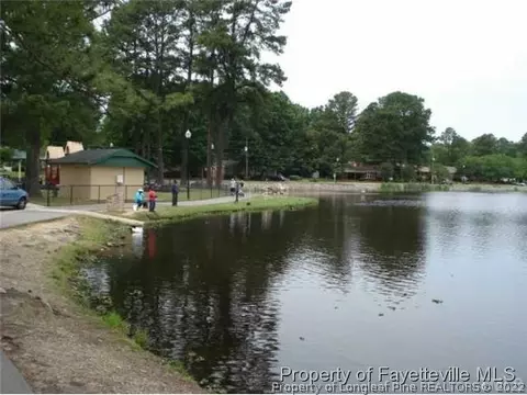 420 E Depot St, Angier, NC 27501 photo 24