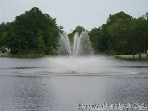 420 E Depot St, Angier, NC 27501 photo 22