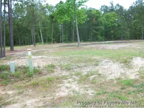 105 Brookstone Dr, Cameron, NC 28326 photo 1