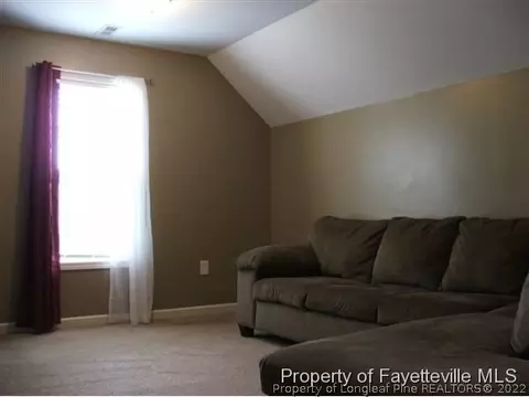 50 Basket Oak, Bunnlevel, NC 28323 photo 11