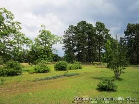 833 Docs Rd, Lillington, NC 27546 photo 18