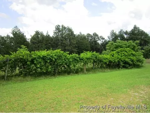833 Docs Rd, Lillington, NC 27546 photo 19