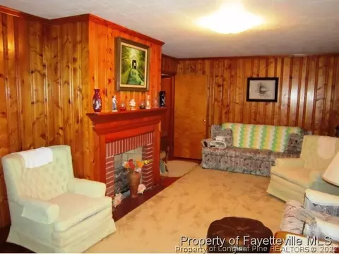 833 Docs Rd, Lillington, NC 27546 photo 4
