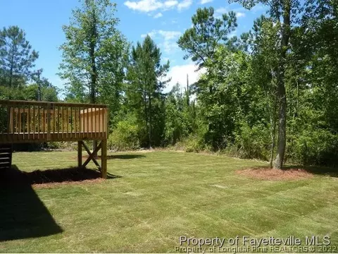 47 Juno Dr, Broadway, NC 27505 photo 19