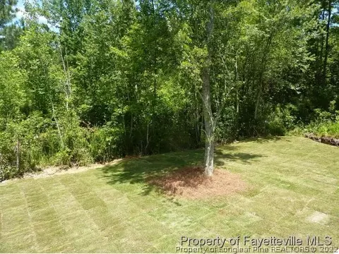 47 Juno Dr, Broadway, NC 27505 photo 20