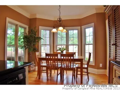 20 Dungarvan Ln, Pinehurst, NC 28374 photo 10