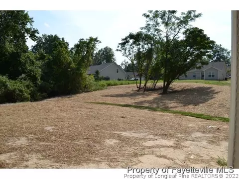 32 Beacon Ridge Dr, Angier, NC 27501 photo 22