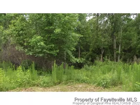 711 Sands Rd, Cameron, NC 28326 photo 3