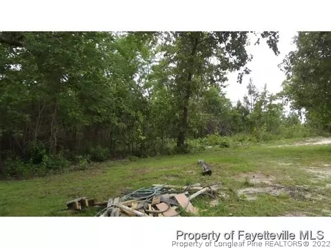 711 Sands Rd, Cameron, NC 28326 photo 2