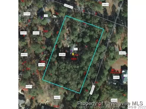 250 N Currant St, Pinebluff, NC 28373 photo 3