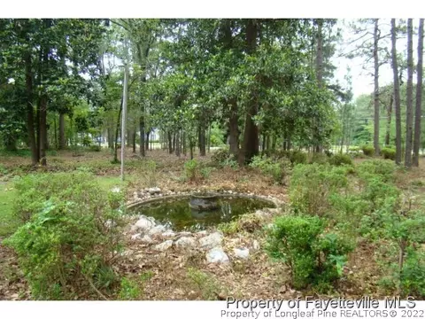 250 N Currant St, Pinebluff, NC 28373 photo 18