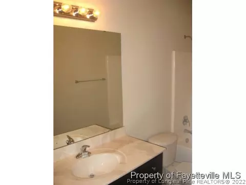 161 Taft Ln, Cameron, NC 28326 photo 14