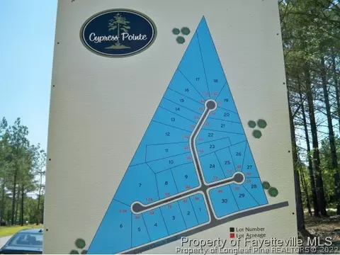 95 Olde Cypress Pt, Cameron, NC 28326 photo 25
