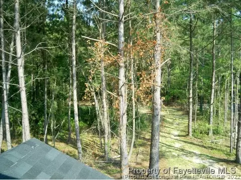 95 Olde Cypress Pt, Cameron, NC 28326 photo 13