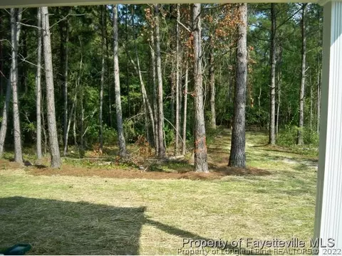 95 Olde Cypress Pt, Cameron, NC 28326 photo 8