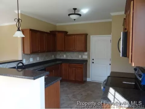 486 Juno Dr, Broadway, NC 27505 photo 17