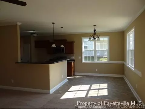 486 Juno Dr, Broadway, NC 27505 photo 13