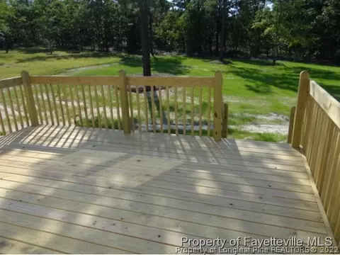 486 Juno Dr, Broadway, NC 27505 photo 10